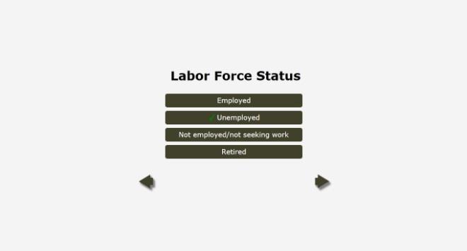 Labor Force Status Details Labor Force Status Please mark one.