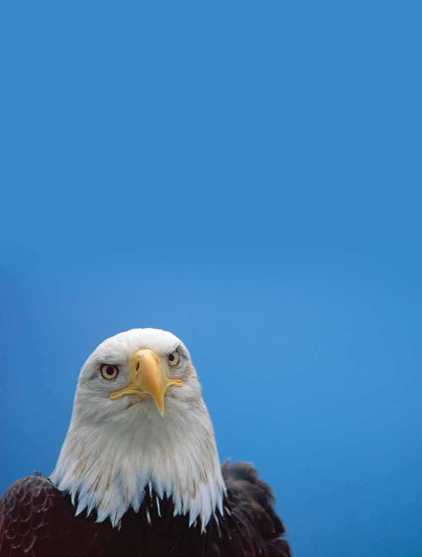 Why Did the Bald Eagle Almost Become Extinct? A Guided Inquiry Activity to Investigate Humans Impact on the Environment by Sarah J. Glassman and Donna R.
