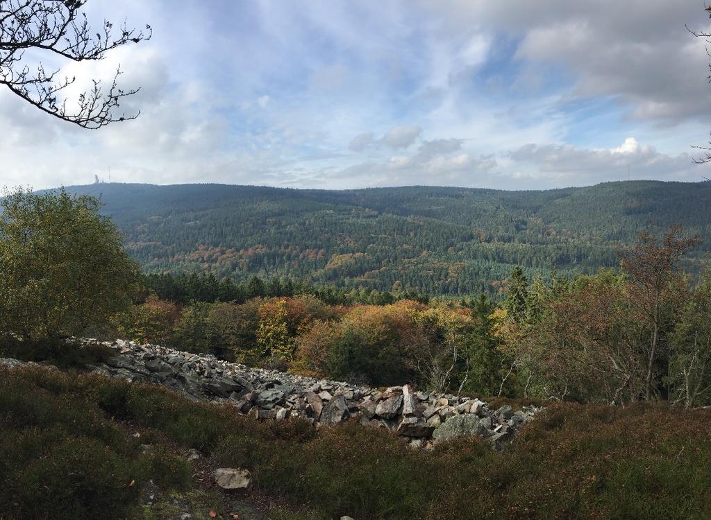 Looking for a quick getaway? Take the U3 towards Oberursel/Hohemark all the way to the terminus, and hike up a hill in the beautiful Taunus nature park to enjoy these views!