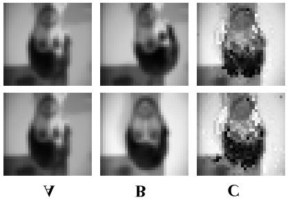 6 faces as the output. There is yet another problem when comparing faces. It is different appearance of the same person s face depending on the person s emotional condition. Fig. 5.