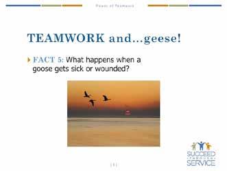 Succeed Through Service TOOLKIT SEGMENT 3: Teamwork and Geese cont... Fact 4: Why do the geese honk when flying in formation? (Solicit responses).