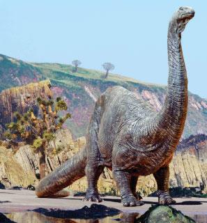 Non-fiction: Dinosaur World Kim Taylor/Warren Photographic/Photo Researchers, Inc. Apatosaurus was a large planteating dinosaur.
