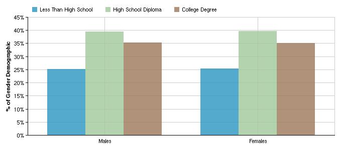 Educational Attainment by Gender In the region, females have higher high school attainment rates and lower college degree attainment rates compared to