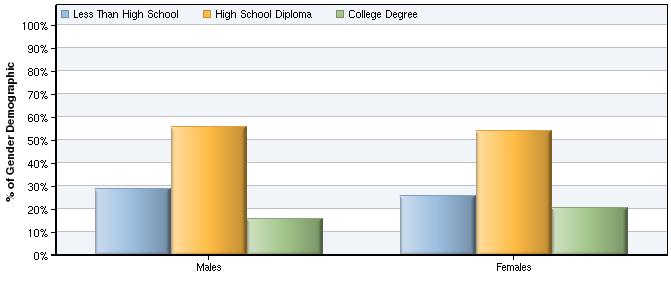 Educational Attainment by Gender In the region, females have lower high school attainment rates and higher college degree attainment rates compared to males.
