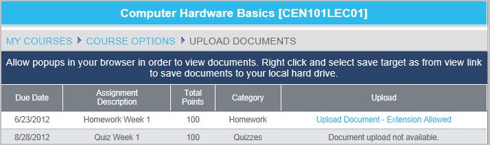 Select the document and then click Upload Document. The uploaded assignment is listed.