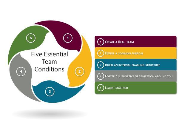4 P a g e Essential Conditions for Creating a Successful Team Great teams do not form organically without any controlled intervention.