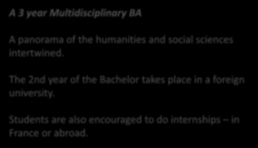 Bachelor A 3 year Multidisciplinary BA A panorama of the
