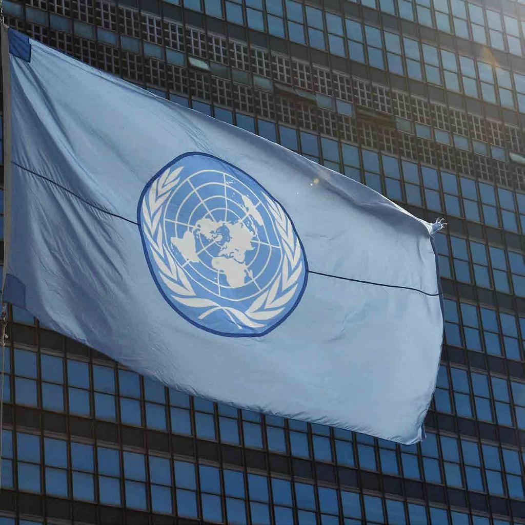 UN Photo/Mark Garten United Nations System Basics Representatives of governments and from other actors such as international and non-governmental organizations must be able to understand and often
