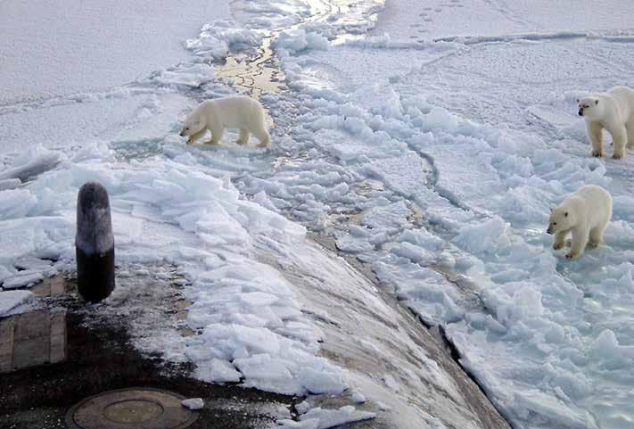 US Navy photo by Chief Yeoman Alphonso Braggs Polar bears on the sea ice of the Arctic Ocean, near the North Pole, as photographed from the bridge of the US Navy submarine USS Honolulu.