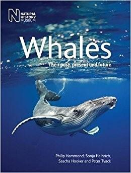 CONFERENCE ICEBREAKER THE 17 th OF JANUARY 8:00pm at St Andrews Brewing Company Mini book launch of Whales: Their past, present and future Icebreaker event with some complimentary vegetarian and