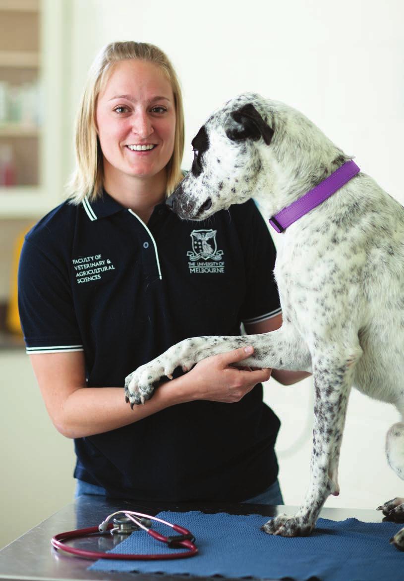 PROFILE ANNA DONLAN DOCTOR OF VETERINARY MEDICINE STUDENT Anna Donlan first visited Australia in 2010 as a volunteer, planting trees in Lithgow, near Sydney.