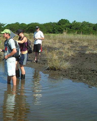 SAEES offers programmes in: Crop and Horticultural Science Environmental Science Geological Science SAEES also offers a four year degree leading to a Bachelor of Science in Agriculture, in: