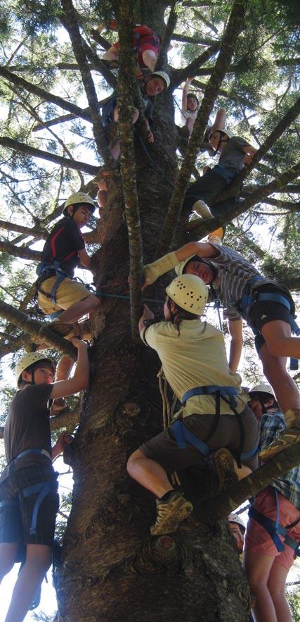 The activities on the camp involved extensive hiking with heavy backpacks, abseiling, canoeing, tree climbing, mountain bike riding, cooking and pitching tents.