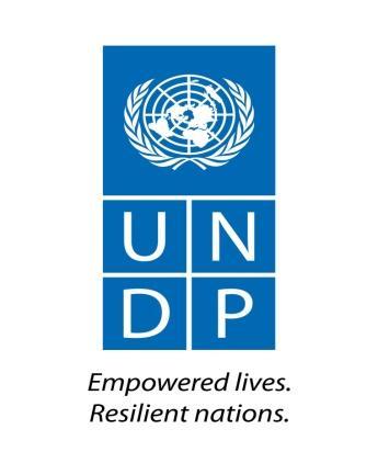 UNITED NATIONS DEVELOPMENT PROGRAM (UNDP) UNDP