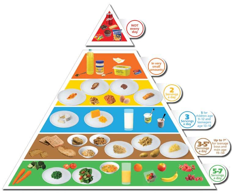 Food Pyramid See the new Food