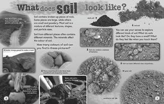How Are Soils Different? Focus: Students will begin to explore soil and use scientific terminology when communicating their understanding.