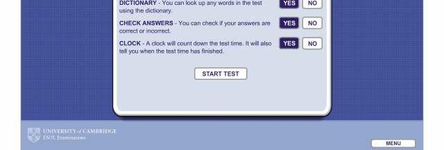 CHECK ANSWERS: This option allows you to check if your answers are correct or incorrect during the test.