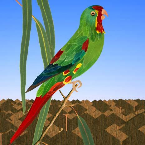for Swift Parrot Animation Flight to