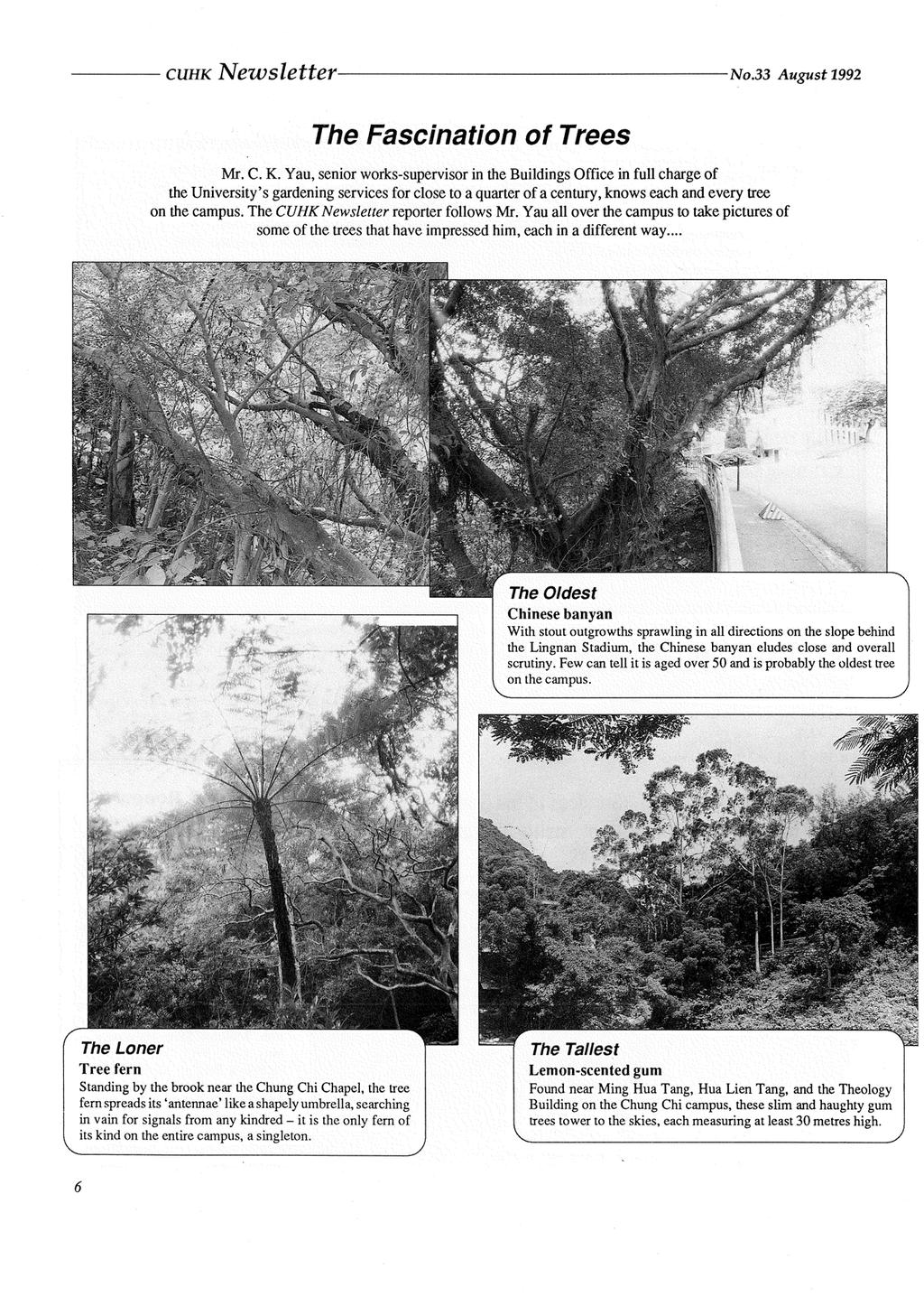 CUHK Newsletter- The Fascination No 33 August 1992 of Trees M r. C. K.