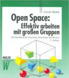 , Beltz Verlag, Weinheim 2001 Open Space: Effektiv arbeiten mit großen
