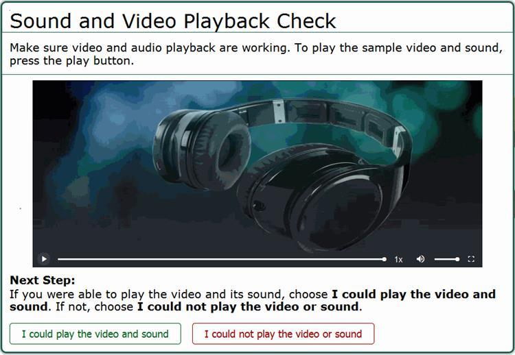 The Sound and Video Playback Check page appears for tests with video and sound content.