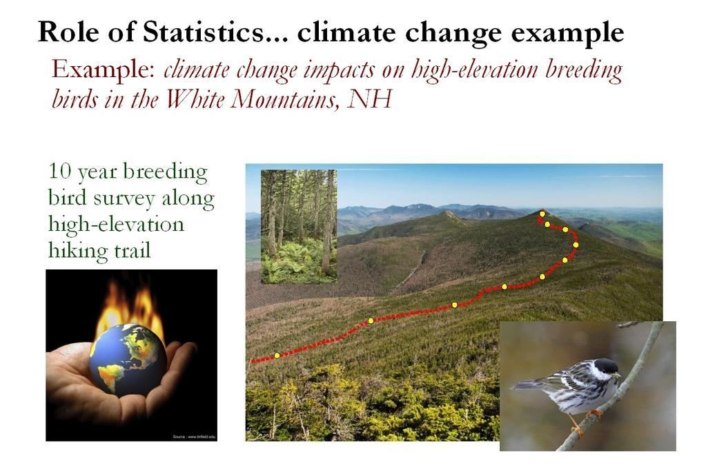 Role of Statistics 3 An example: The climate change debate Consider the role of environmental statistics in the climate change debate.