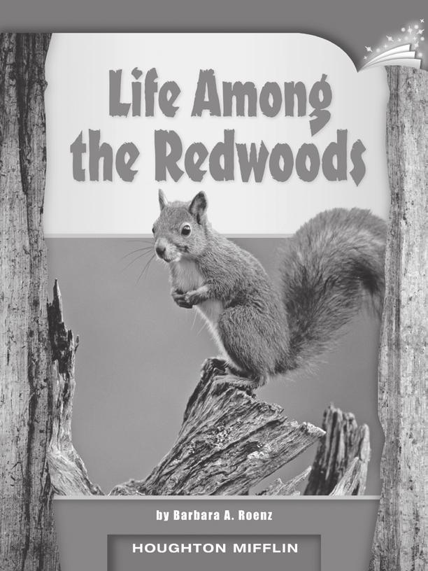 LESSON 23 TEACHER S GUIDE Life Among the Redwoods by Barbara A.