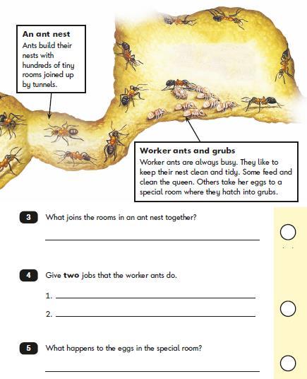 This is paper 1 where the children read a small amount of text and answer the questions