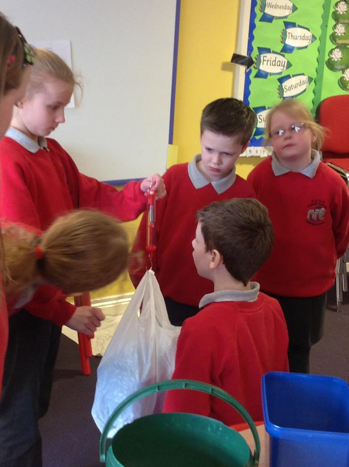 Below: Pupils weighing the compost collected in class and the measurements were used for class numeracy tasks.
