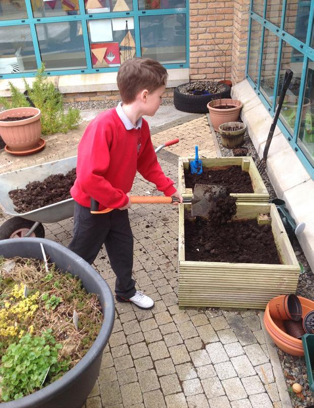 We had one compost bin nearly ready to use, but during a rota switch of pupils collecting the compost, the waste was put in the wrong bin by mistake.