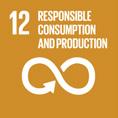 Suggested Theme Link How Eco-Schools Addresses This SDG Responsible Consumption and Production The Eco-Schools programme supports responsible consumption and production through many of its Themes.