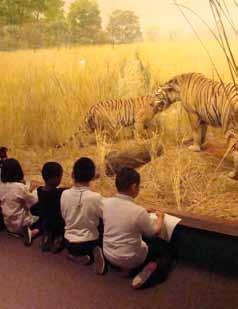 the classroom Trip Tip: A visit to the Museum aligns with Common Core State Standards for English Language Arts. Students can practice reading and comprehending informational texts in exhibitions.