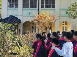 Activity format: Role play, drama in education 20-40 HK$140 per student or teacher (Regular fee: HK$240 per student or teacher) Nature Artist (Island House Conservation Studies Centre)