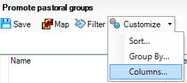 c. Then go to Customise and select Columns from the