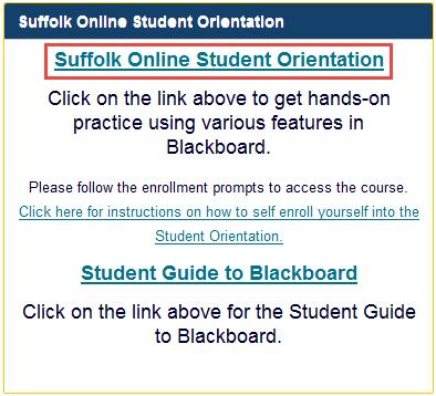 Student Orientation In order to familiarize yourself with Blackboard Learn, it is recommended that you go through the Student Orientation course.