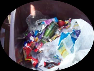 litter black spots Waste Audit (online): - What is going into the bins?