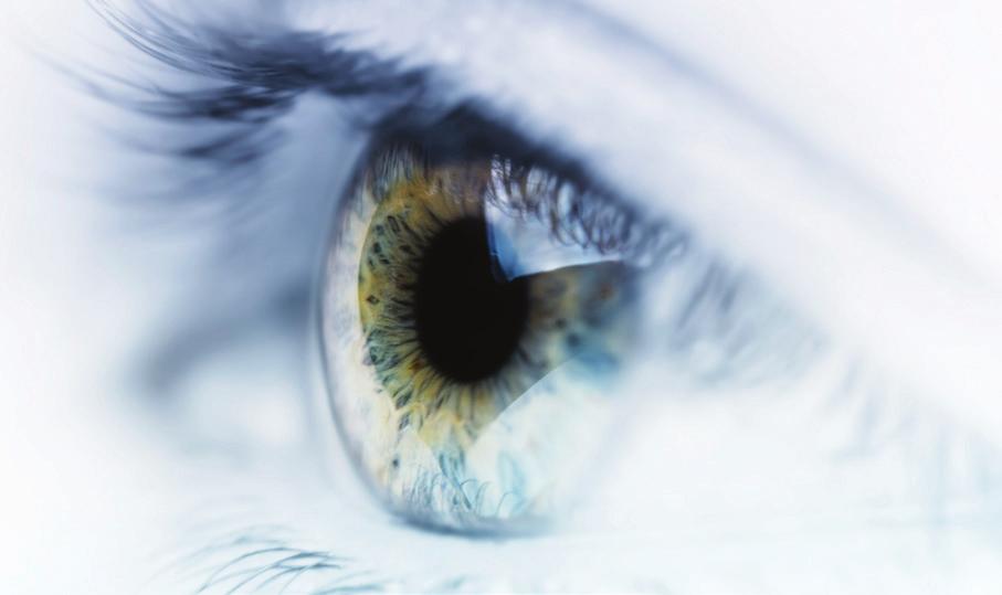 COURSE DESCRIPTION This four-day intensive course, aimed at ophthalmologists and trainees, will review the clinical essentials of each subspecialty in ophthalmology.