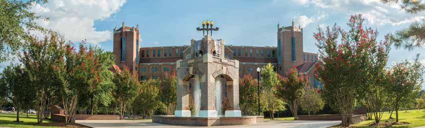 honors OPPORTUNITIES Bring your curiosity, desire, and commitment. FSU will provide caring and engaged faculty; extraordinary facilities; and an exceptional learning environment. honors.fsu.