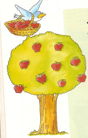 THE APPLE TREE There are ten apples on the apple tree A bird takes two Now how many do you see? There are eight apples on the apple tree A bird takes six apples Now how many do you see?