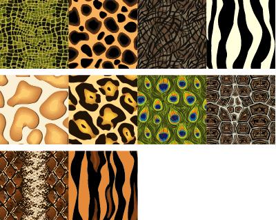 PICTURES OF ANIMAL PATTERNS FOR
