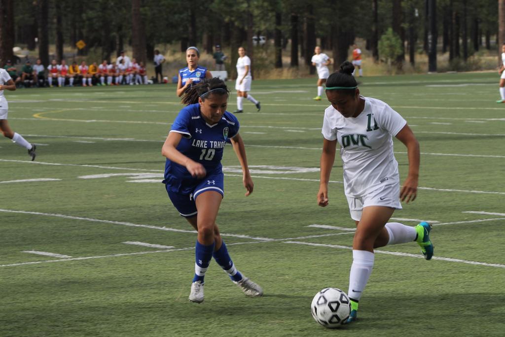 represent nearly 15% of the overall student population at LTCC. The third section on page 17 includes information for the first year of the soccer program at LTCC.