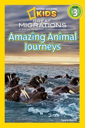 their amazing migrations. Each year, 30,000 zebras make a 360-mile trip across Africa. Christmas Island red crabs travel to new waters to have thousands of babies. And walruses mate under ocean ice.
