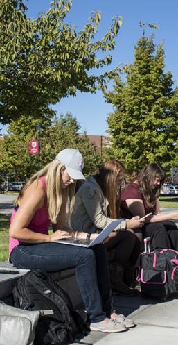 This universal connection serves all five campuses Spokane, Pullman, Vancouver, Tri-Cities, and Everett allowing anyone with a WSU Network ID to instantly access the wireless network, whether at