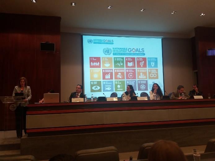 3. Public dialogue on SDGs In 2015, world leaders adopted the 2030 Agenda for Sustainable Development of the United Nations including the 17 Sustainable Development Goals.