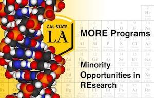 MORE Programs CALIFORNIA STATE UNIVERSITY, LOS ANGELES UNDERGRADUATE FELLOWSHIP APPLICATION NIH RISE MARC U*STAR This application is for RISE BS-to-PhD and MARC BS-to-PhD fellowships.