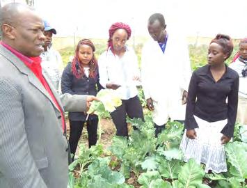 In 1972, the institu- Students at Katine Technical Training Institute at their farm with a lecturer holding Kale (sukuma wiki). The farm is used for teaching Agribusiness skills.