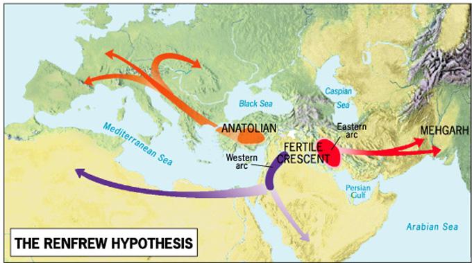 Renfrew Hypothesis: Proto-Indo- European began in the Fertile Crescent, and then: From Anatolia diffused Europe s languages From the Western Arc of