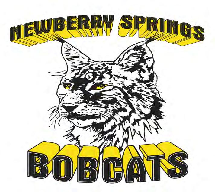 COMMUNITY INVOLVEMENT Newberry Springs Elementary prides itself on opening it s doors to the community. The school s parent organization, Newberry Elementary Activity Team (N.E.A.T.) is a highly active group that works to support the students and staff.