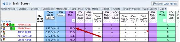 View Subject Grade as Grade Mark: This option shows