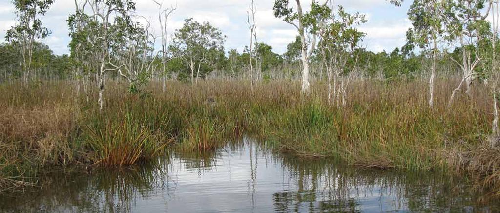 Acknowledgements The achievements of the NAILSMA Indigenous Water Facilitator Network Project (ICWFN) as a pilot program over a five-year period have demonstrated the value of catchment-based
